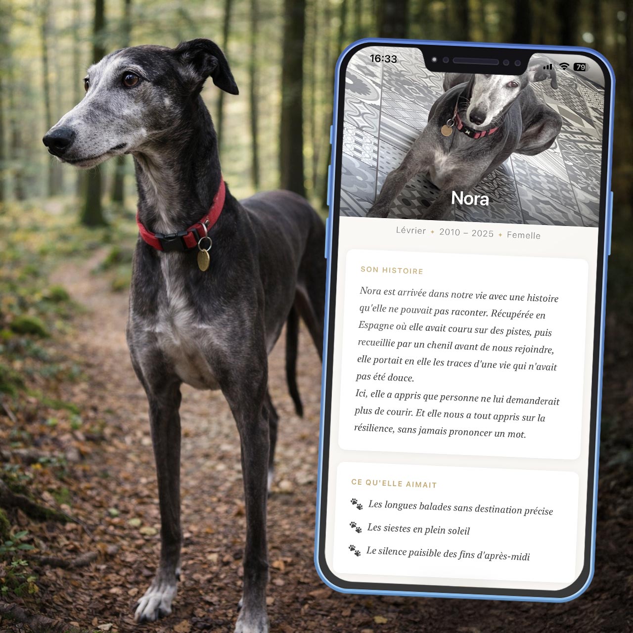 Application Souvenir Chien Medaléa