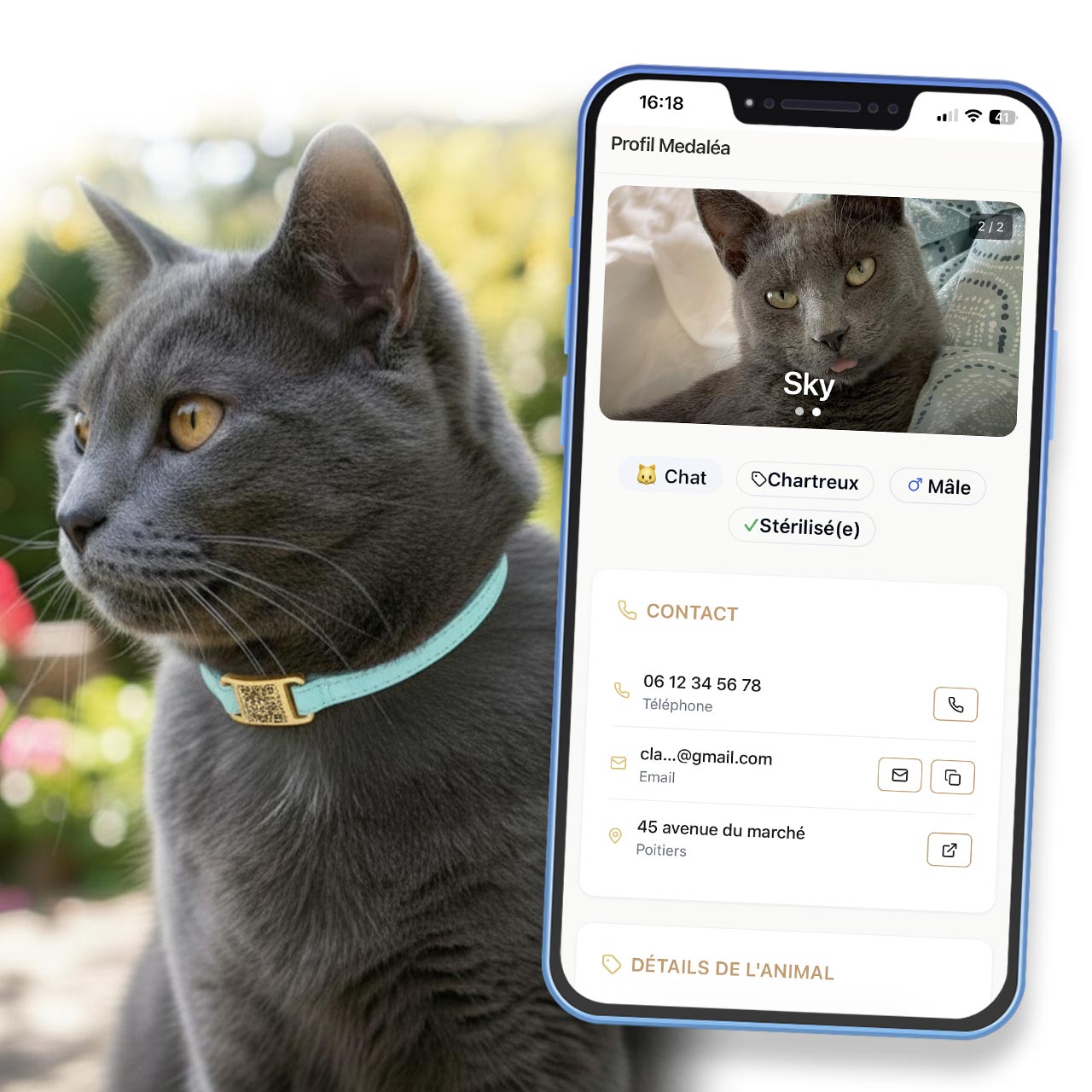 Médaille QR Code Medaléa pour Chat