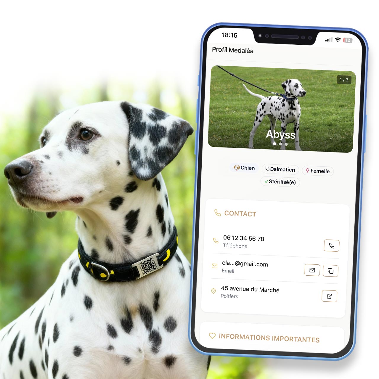 Médaille Connectée QR code pour Chien - Ronde