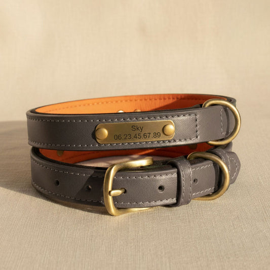 Collier gris pour chien à personnaliser