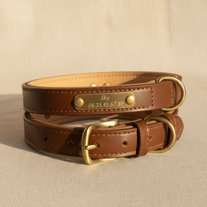 Collier marron pour chien à personnaliser
