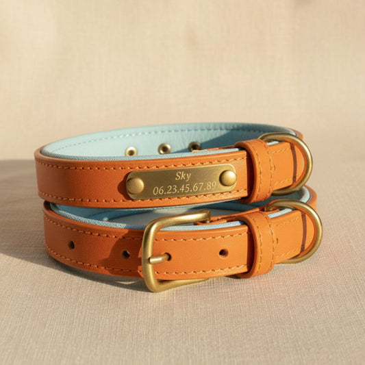 Collier orange pour chien à personnaliser