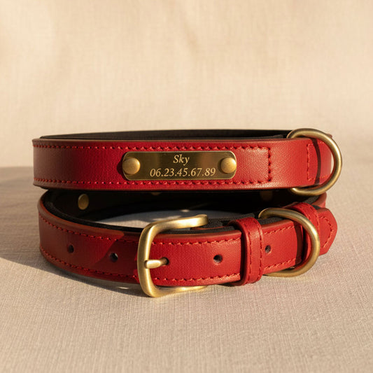 Collier rouge pour chien à personnaliser
