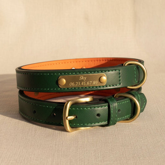 Collier vert pour chien à personnaliser