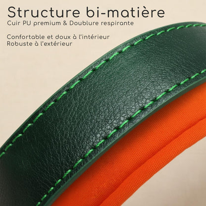 Collier vert pour chien à personnaliser