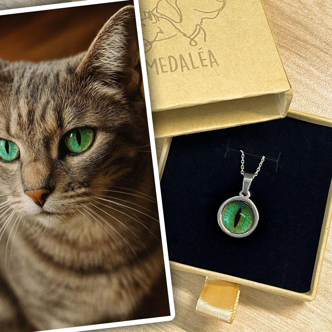 Médaille iris chat Medaléa