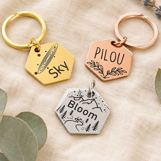Médaille hexagonale gravée au laser pour chat en acier inoxydable, personnalisée avec prénom et coordonnées, fabriquée en France par Medaléa